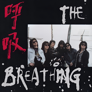 欧美18V❌❌❌❌视频
