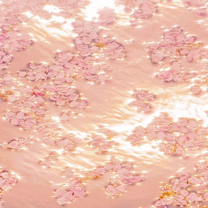 欧美18V❌❌❌❌视频
