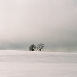 欧美18V❌❌❌❌视频
